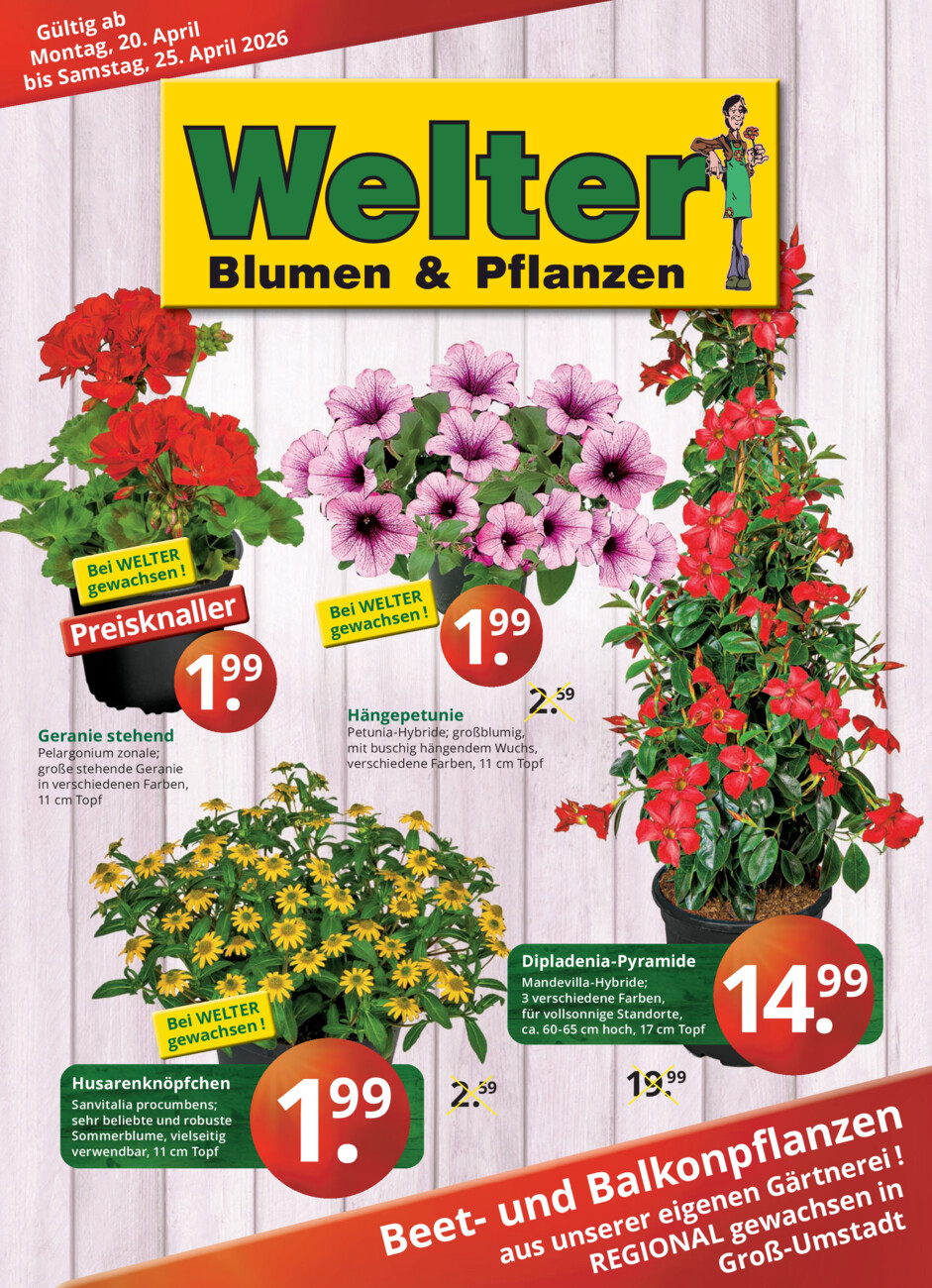 Welter vom Montag, 20.04.2026