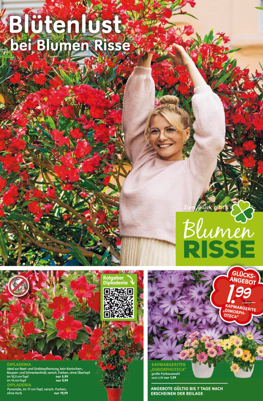Blumen-Risse-April vom Donnerstag, 16.04.2026
