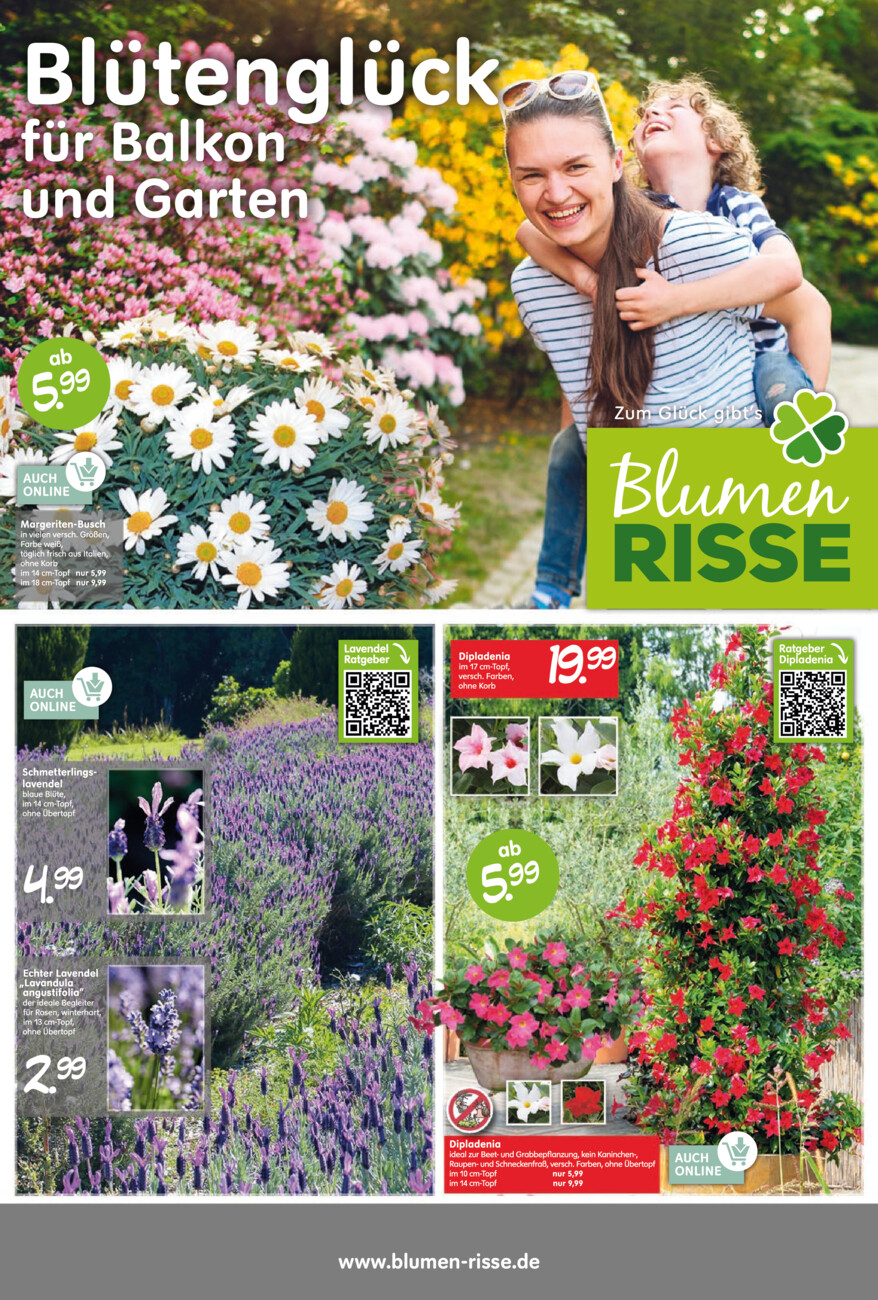 Blumen Risse vom Dienstag, 29.04.2025