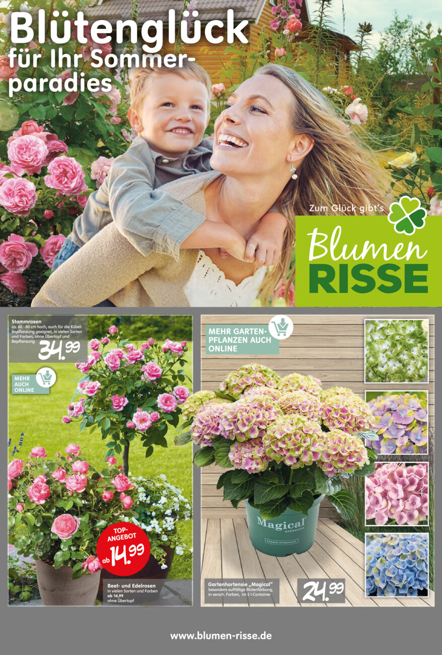Blumen Risse vom Freitag, 30.05.2025