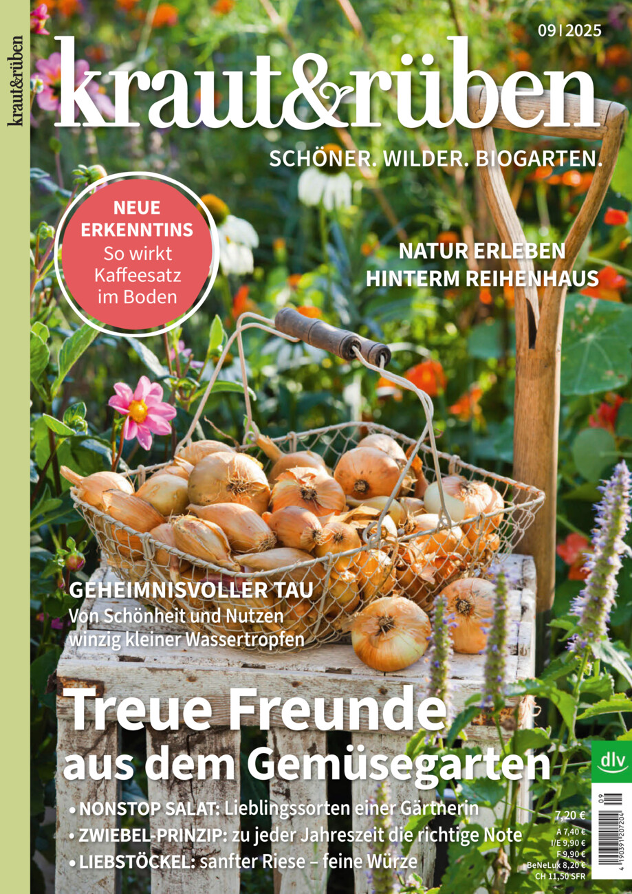 Kraut & Rüben vom Donnerstag, 14.08.2025