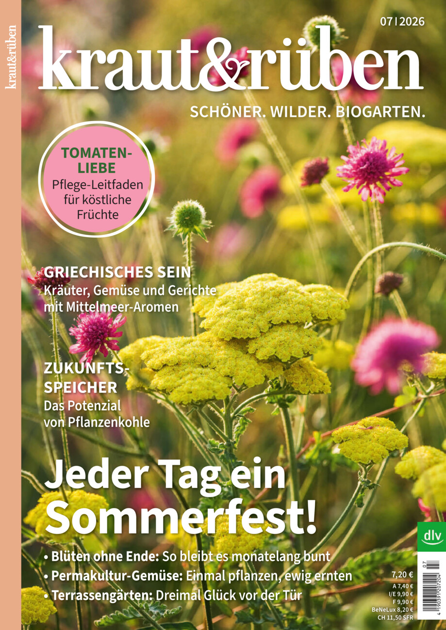 Kraut & Rüben vom Donnerstag, 18.06.2026