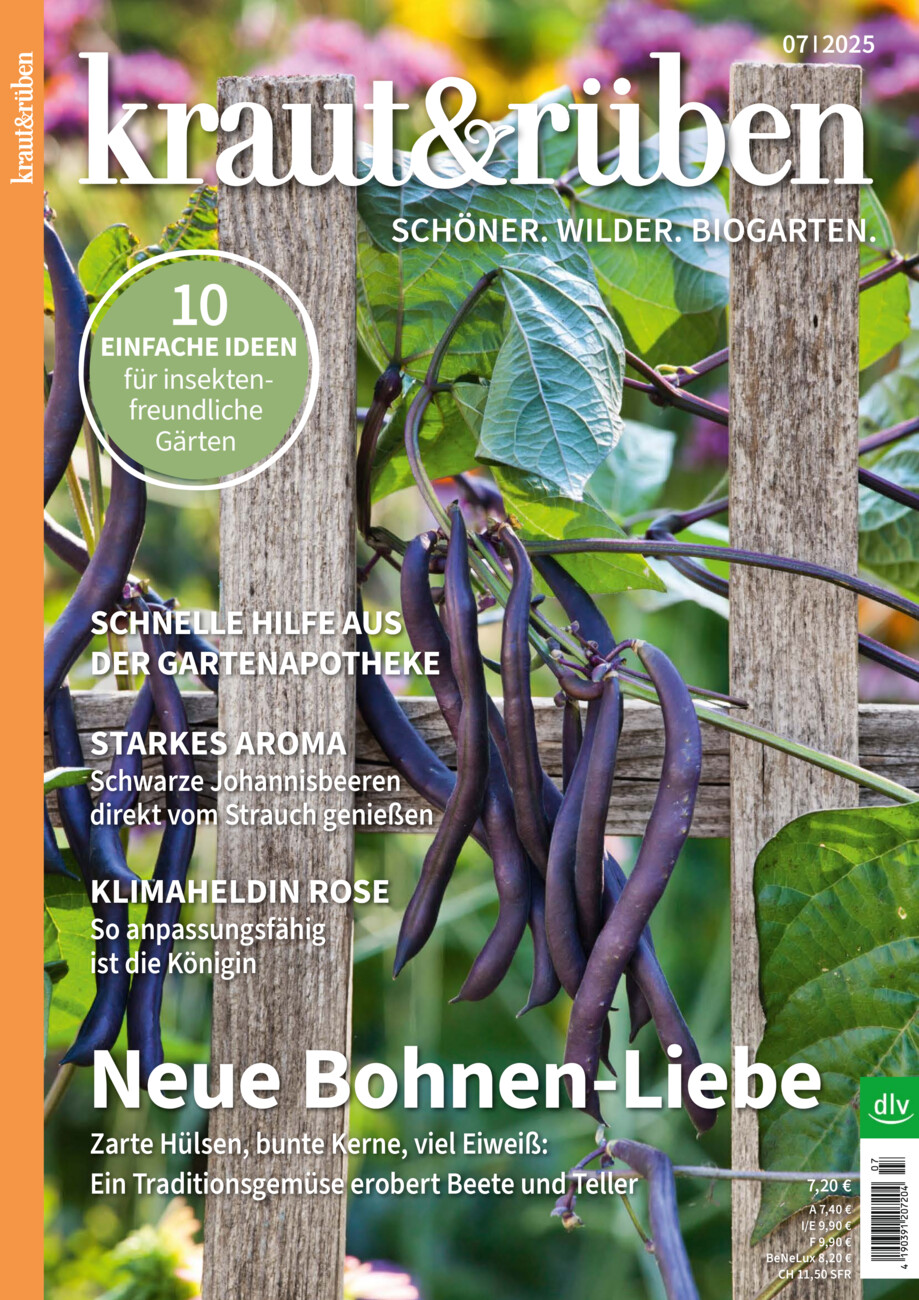 Kraut & Rüben vom Freitag, 20.06.2025